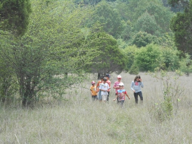 caminatas para peques
